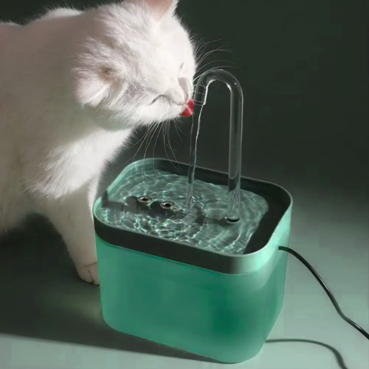 Luxe Drinkfontein Kat & Hond | Groen