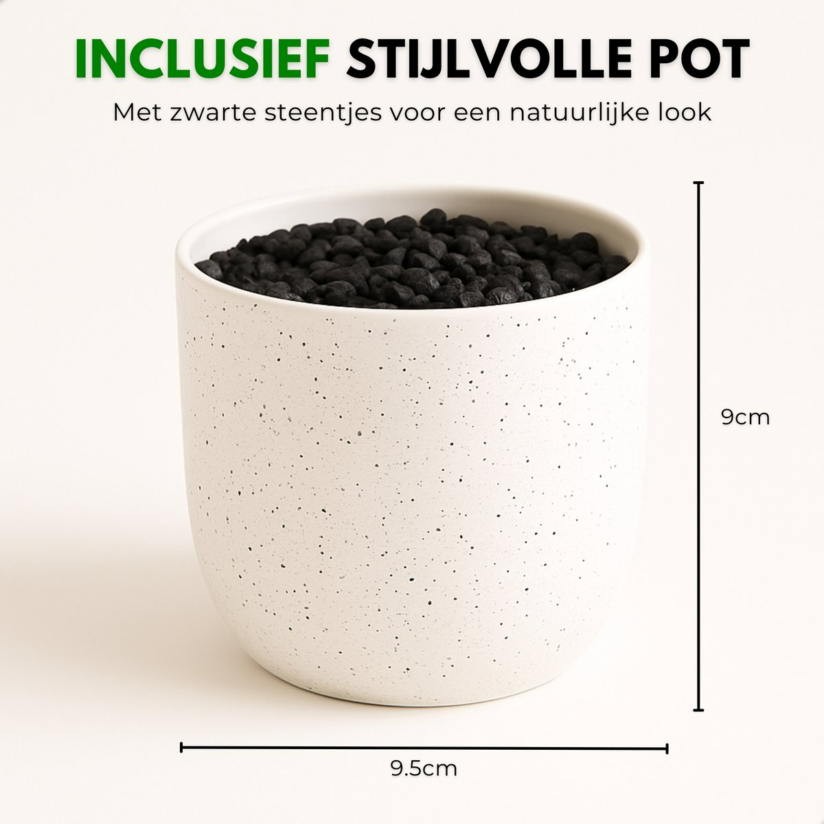 Boncy® Premium Kunstplant | Monstera 25 cm