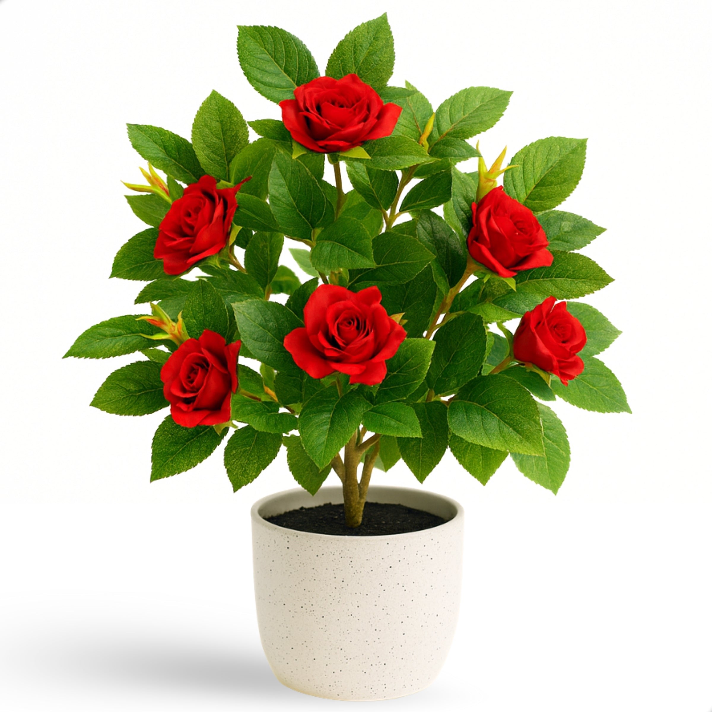 Boncy® Premium Kunstplant | Rozenstruik Rosa 25 cm