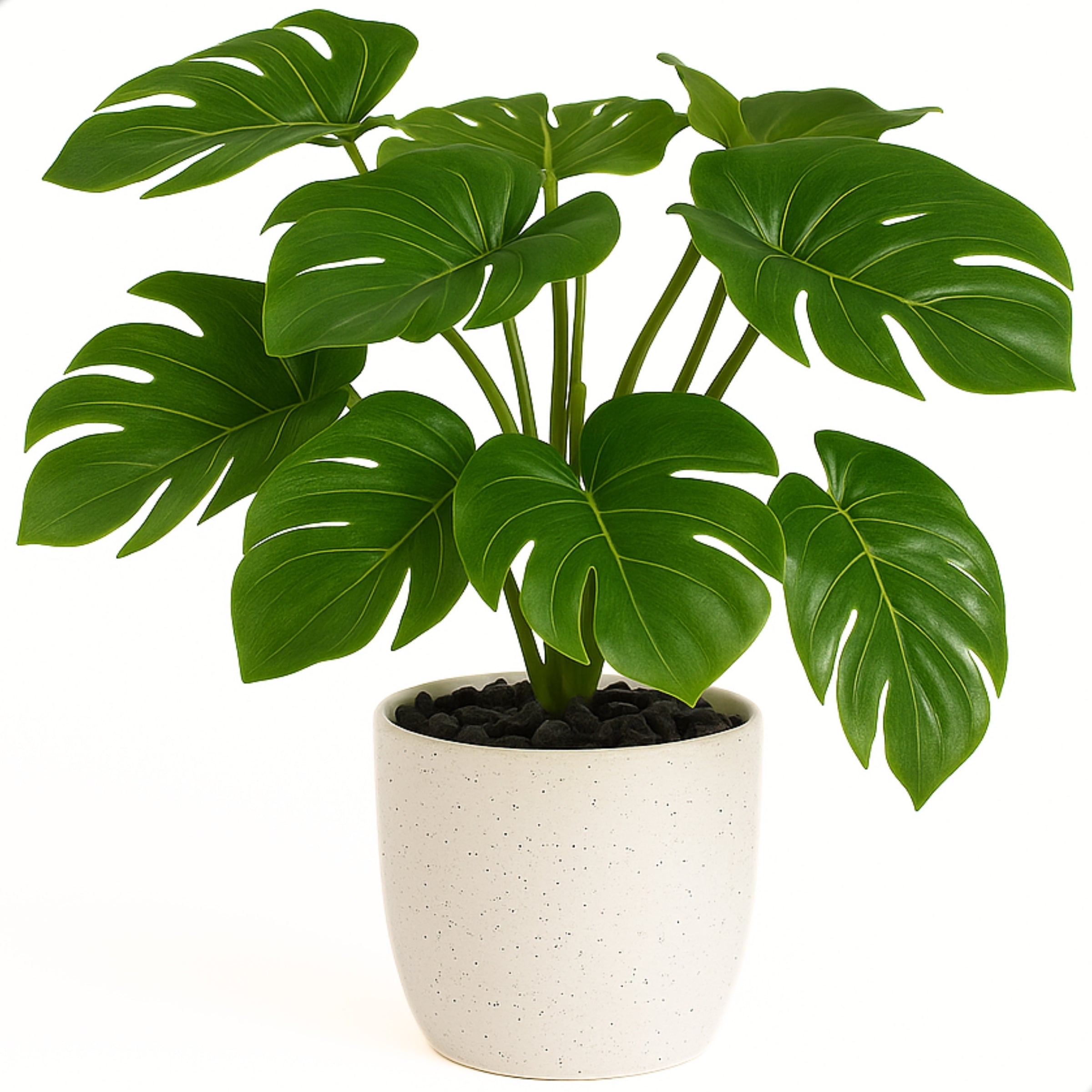 Boncy® Premium Kunstplant | Monstera 25 cm
