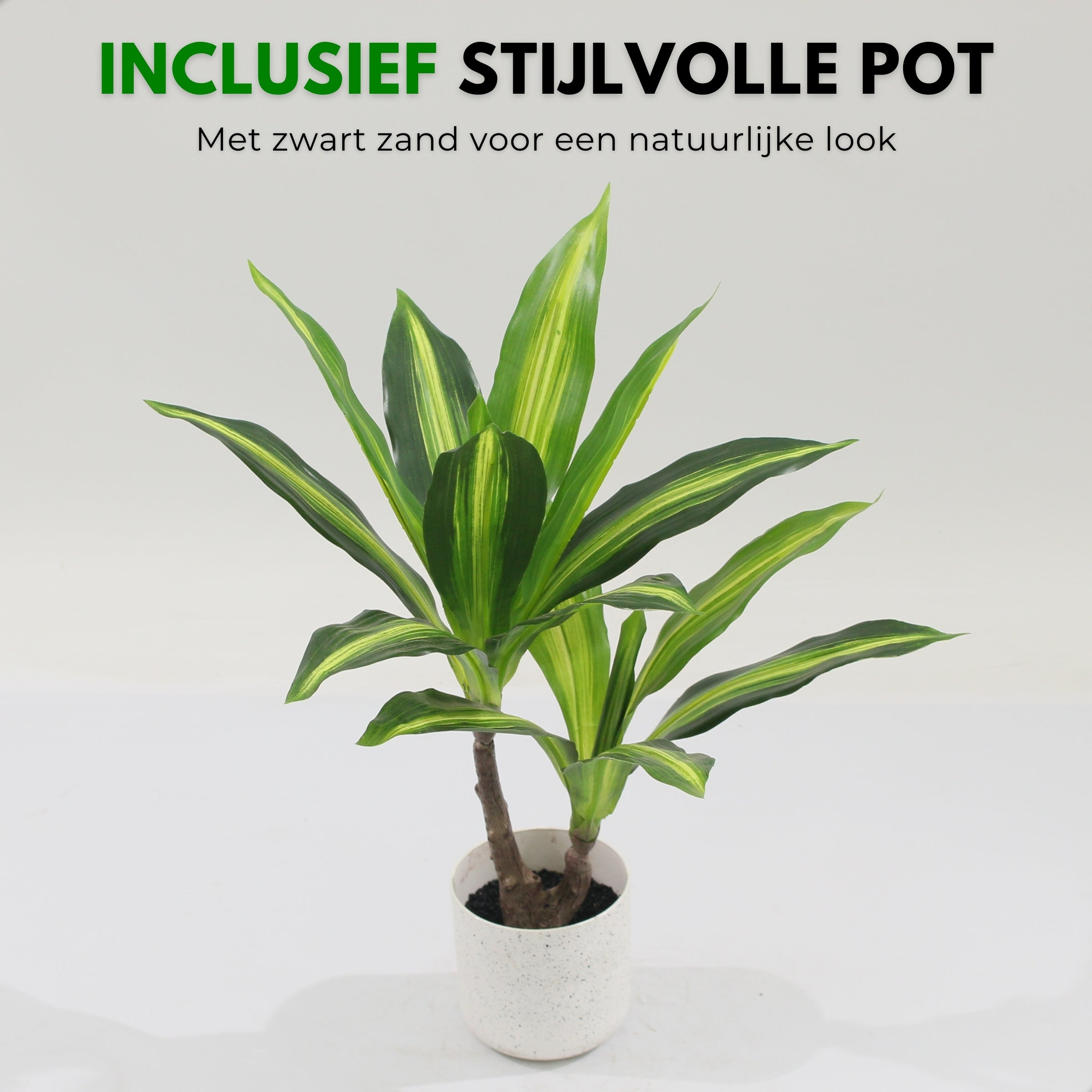 Boncy® Premium Kunstplant | Tropische Dracaena Lemon Lime 40 cm