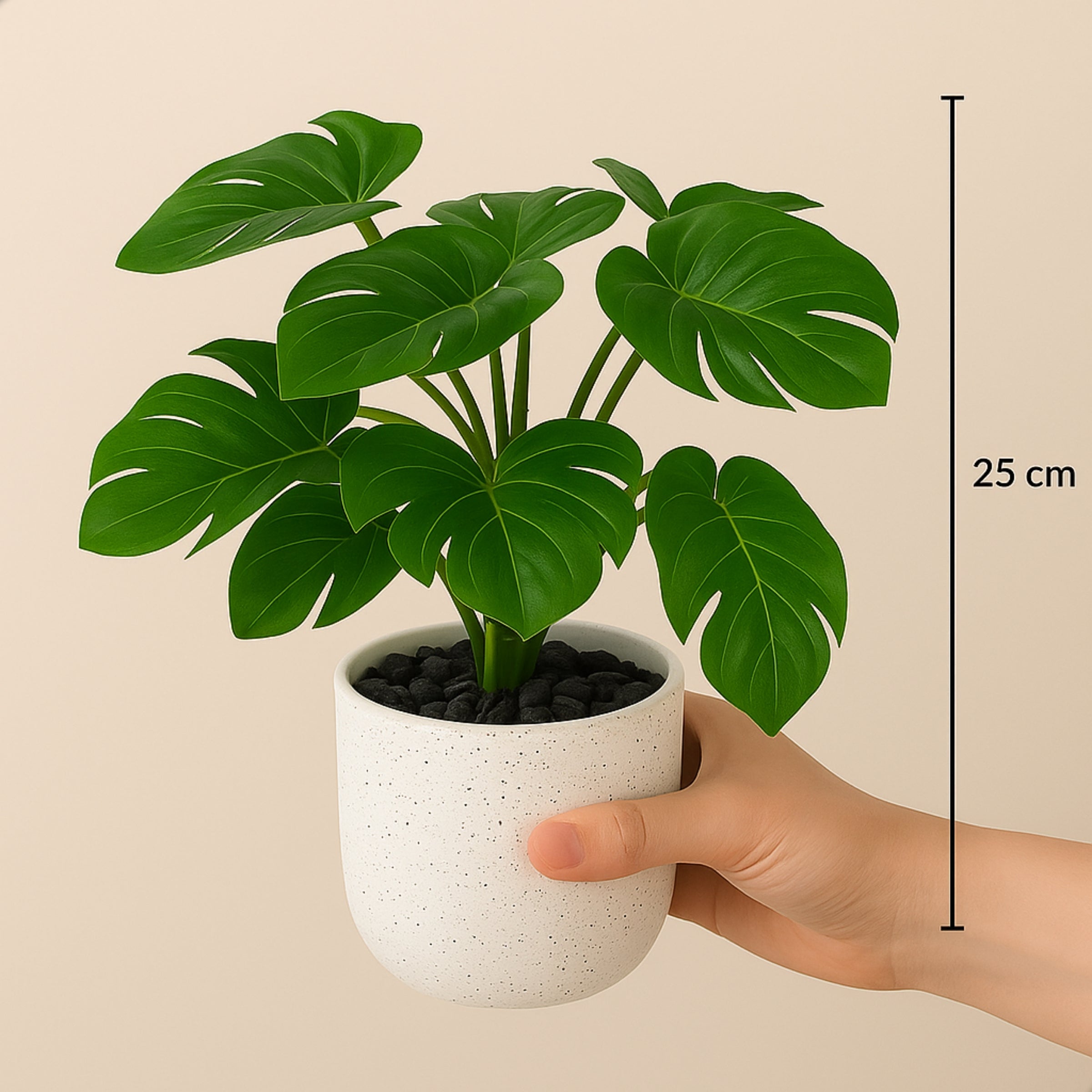 Boncy® Premium Kunstplant | Monstera 25 cm