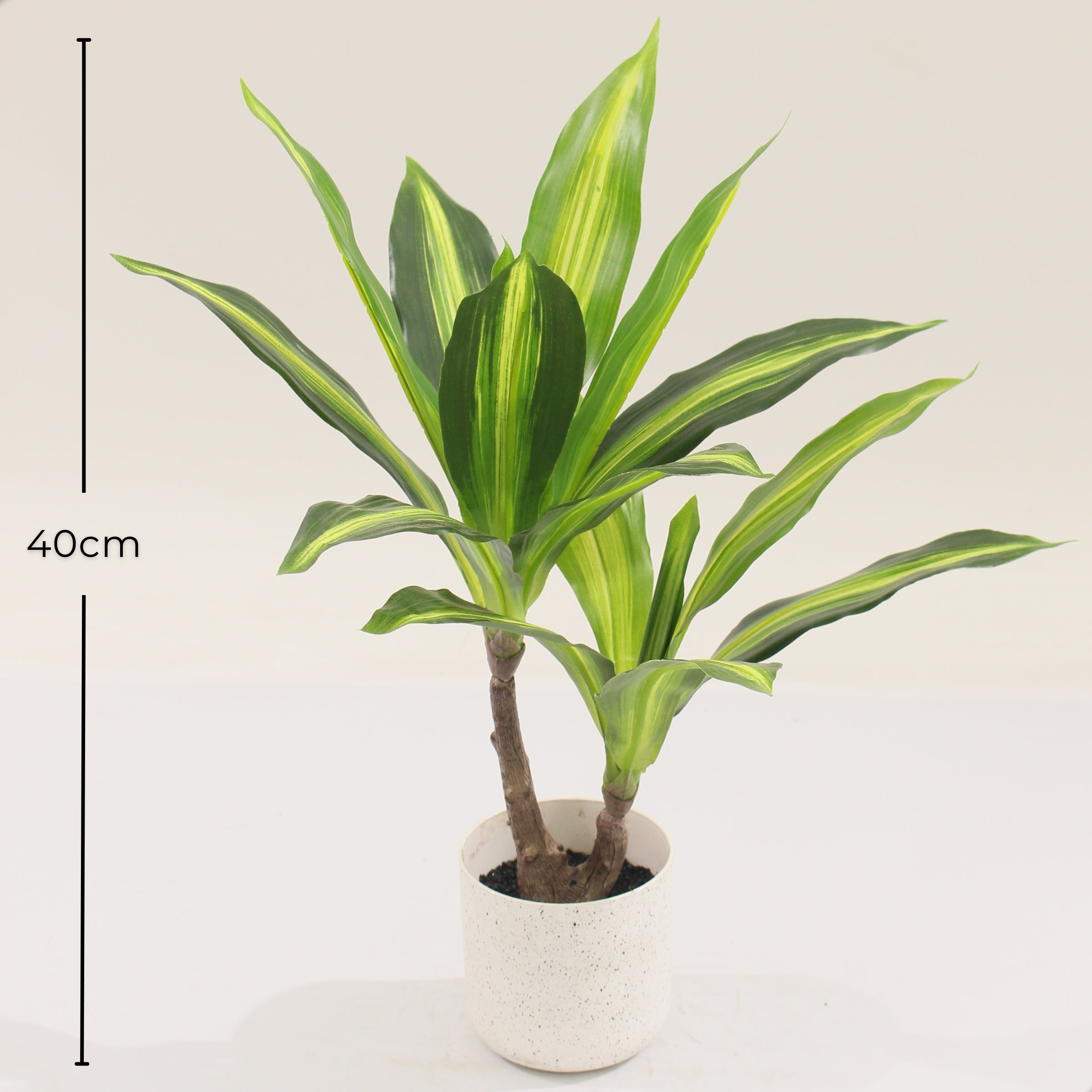 Boncy® Premium Kunstplant | Tropische Dracaena Lemon Lime 40 cm
