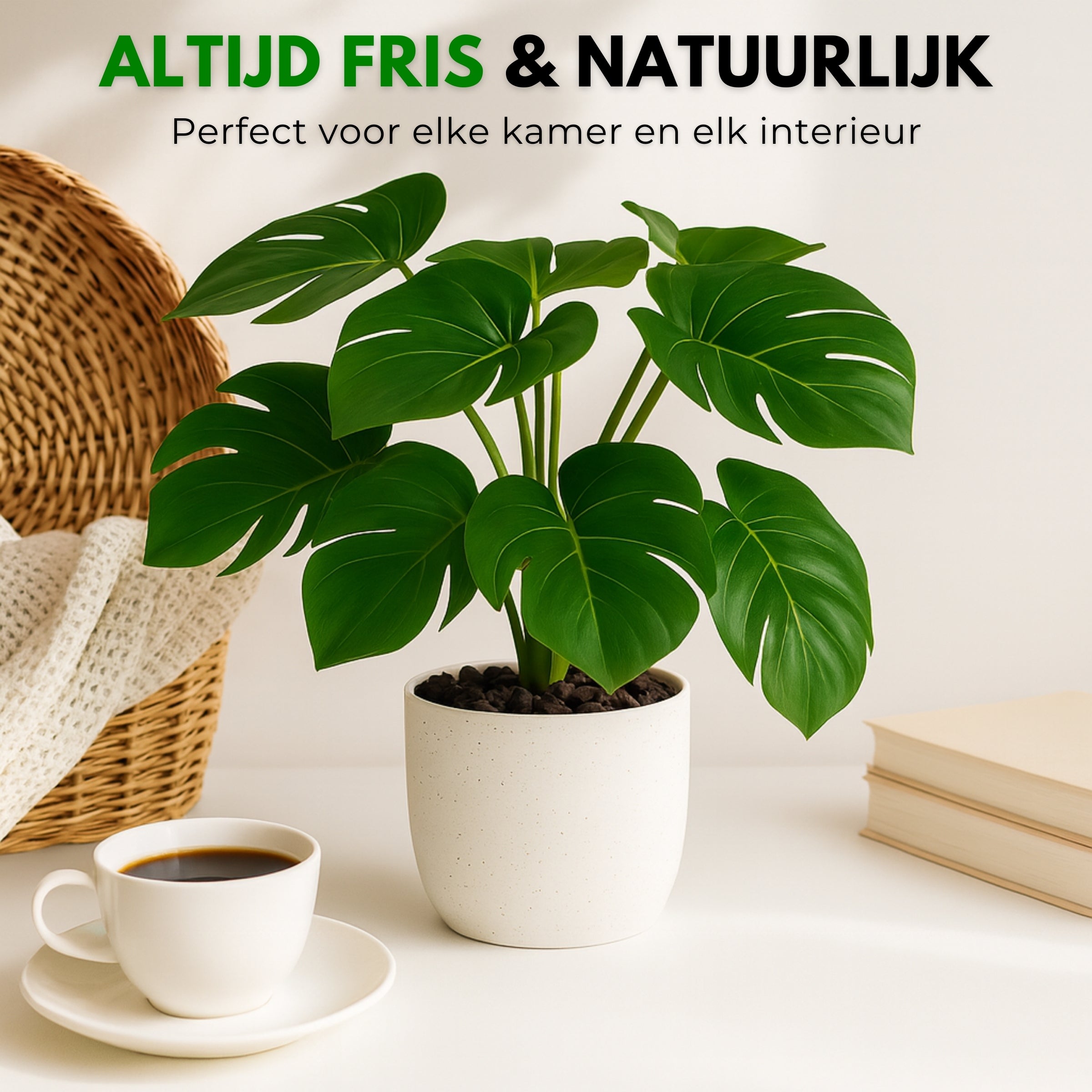 Boncy® Premium Kunstplant | Monstera 25 cm