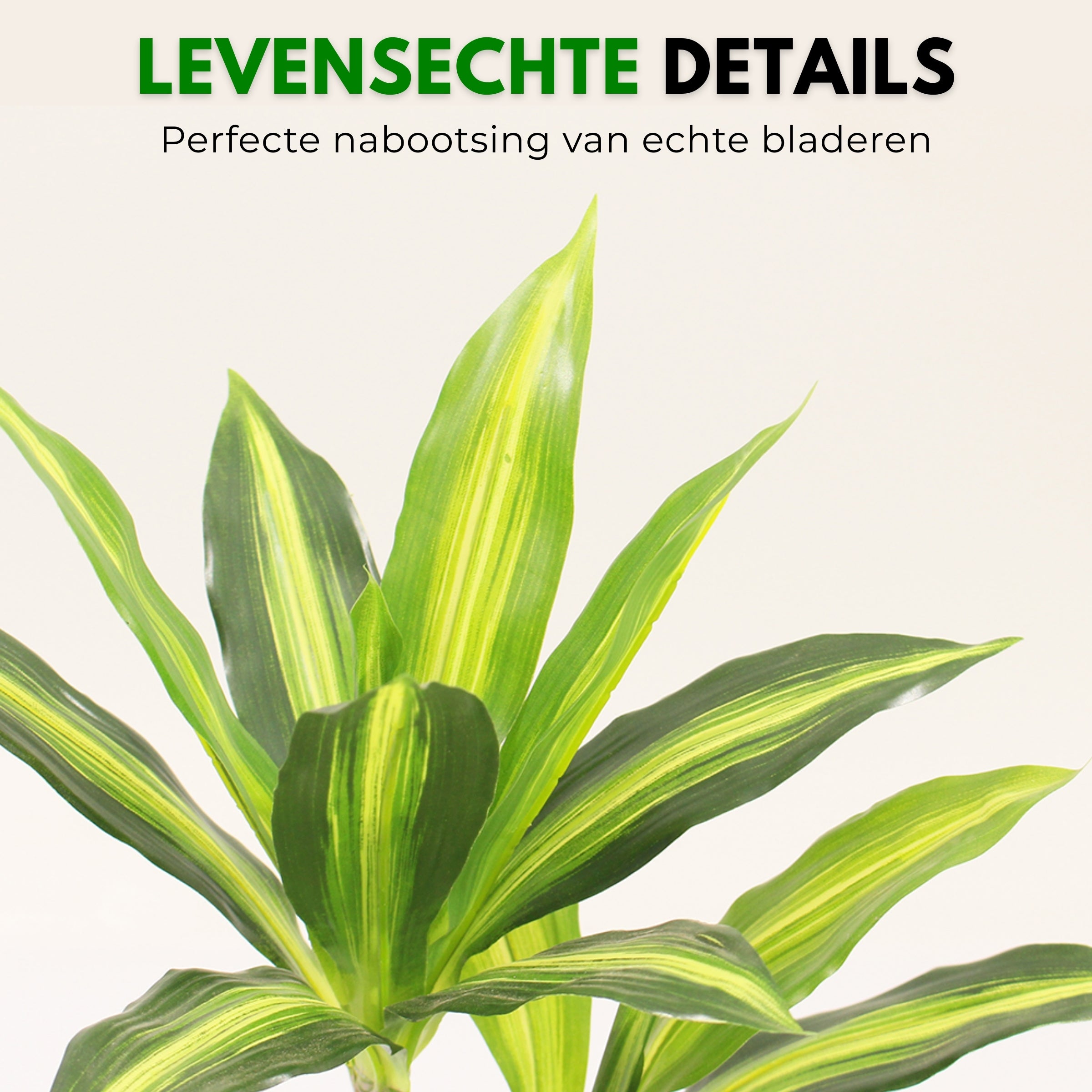 Boncy® Premium Kunstplant | Tropische Dracaena Lemon Lime 40 cm