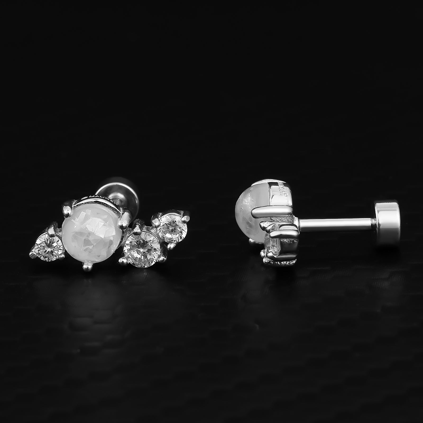 Oorbellen Dames Color | Zilver | Compleet RVS